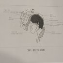 디디스포츠 이미지