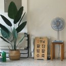 본동옛날팥빙수단팥죽 이미지