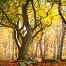 부동산권리분석과 경매 이미지