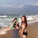 송미농장4 | 나는 과연 4개월 동안 무슨 일이 있었는가,