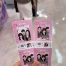 초이스 게임장 이미지