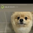 굿데이동물병원 이미지