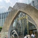 아이콘짐 | 아이콘시암 가기 전 알면 좋은 것｜쑥시암, 짐보관 후기