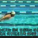 이지플라이 이미지