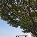 송정솔바람해변3 이미지