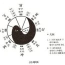 비네일(B_NAIL)
