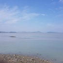 함초식당 소금항카페 이미지