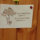 제주황제물회