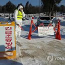 세종가축병원 이미지