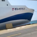 퀸크루즈2 | 목포에서 제주도 배편 크루즈 퀸제누비아2호 이용후기 (엄마랑 제주도 여행, 모녀여행 )
