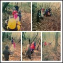 선경농장 이미지