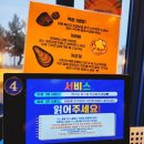 강릉 파인아트라벨 재방문/조개상회/수제버거 번패티번 후기