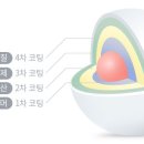백세식품(주) 이미지
