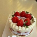 오로라케익하우스 이미지