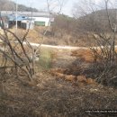 국일농장 이미지