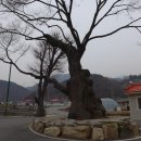 미세먼지에 덮인 산하 (학강산-국봉-동산-작성산) 이미지