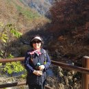 문헌공원 이미지