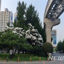 천변3호 이미지