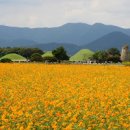 경주 가볼만한곳 첨성대 꽃밭 유적지 산책 명소 경주시내 여행지 이미지