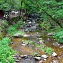 치인 야영장 이미지