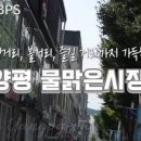 양평 물맑은 시장 5일장(오일장) 장날 청개구리이야기거리 서울근교 여행 이미지