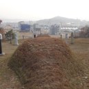 김전선생묘 및 신도비 Daum카페