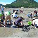 어촌마을 이미지