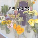 중앙1로 | 평택 꽃구경 꽃집 추천 비전동 플라워샵심플 꽃다발 후기