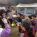 자연의꿈 이미지