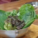 타짜오리하우스 이미지