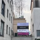 벨르 | 강남 제니벨르 드레스투어 후기