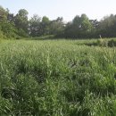 평촌목장 이미지