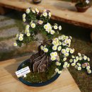 영암기찬랜드 이미지