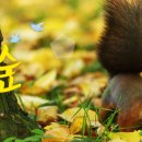 백운산자연휴양림 이미지