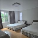 꽃무리 뜸 이미지