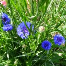 (주)수레 이미지