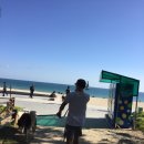 해운대도그워커 이미지