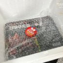 농업회사법인(주)성진종돈 | 한우우족으로 만든 우족찜을 밀키트로 간단하게 먹은 후기