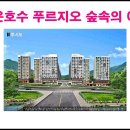 숲속아침 이미지