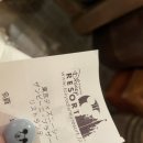비니피아
