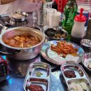 탄통제주돼지 이미지