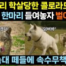 수천목장 이미지