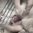 부산 리브동물의료센터 이미지