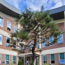 늘푸른소나무도서관 이미지