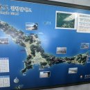 신도자동차 | 서울 인천 근교 여행 - 장봉도 여행 후기 | 수도권 근교 가볼 만한 곳