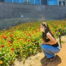 명량대첩해전사 공중화장실3층 | [목포 여행] 국내 최장길이 '목포 해상 케이블카' 주차장 및 꿀팁 후기