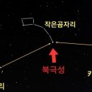 작은곰