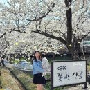 하동 십리벚꽃길 벚꽃뷰 1열 &#34;카페 꽃피는산골&#34; 찐후기