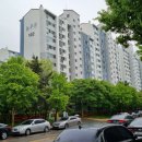 상록바른약국 이미지