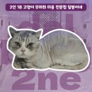 달봉이네 대연점 이미지